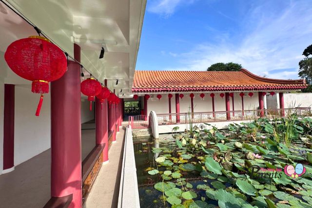 Lunar New Year Activities at Chinese Garden