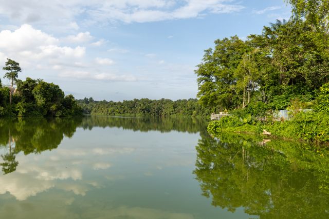 Mandai Boardwalk Scenic views