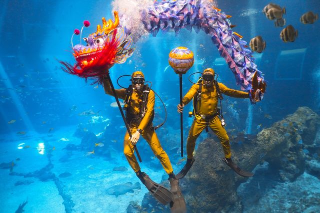 SEA Aquarium Underwater Dragon Dance