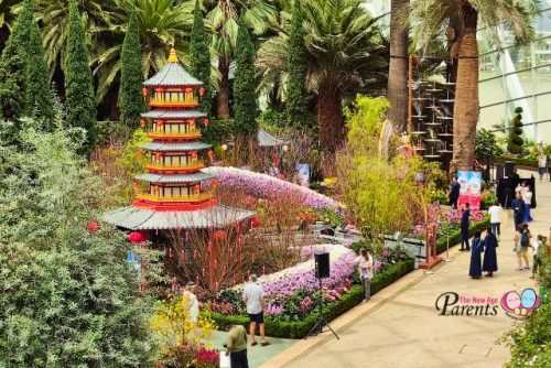 Spring Blossoms Legend of Lady White Snake Leifeng Pagoda