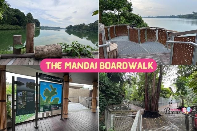 The Mandai Boardwalk