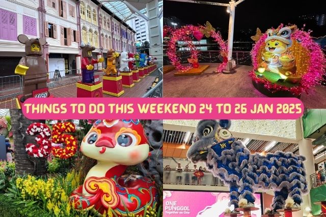 Things to do this Weekend for the Whole Family in Singapore 24 to 26 Jan 2025