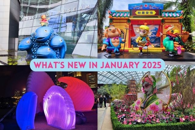 TNAP Highlights: What’s New in Singapore January 2025