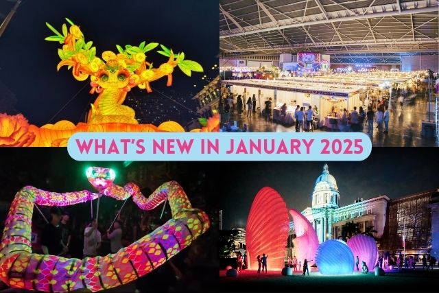 TNAP Highlights: What’s New in Singapore January 2025