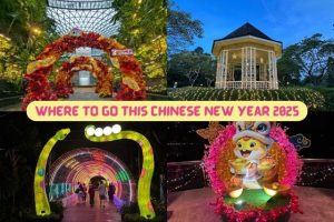 Where to go during Chinese New Year in Singapore 2025