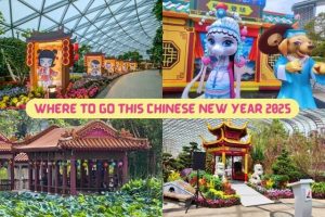 Where To Go During Chinese New Year In Singapore 2025