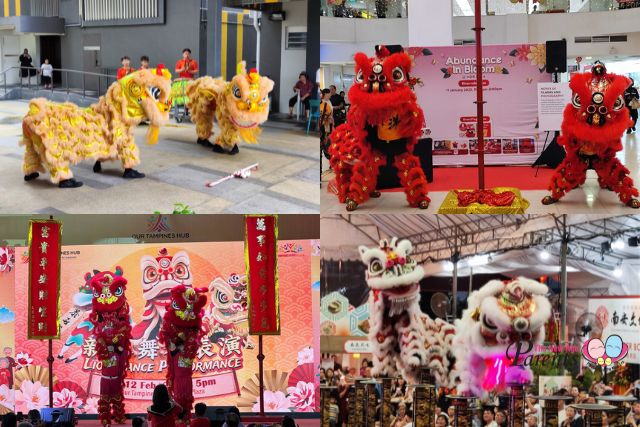 Chinese New Year Lion Dance