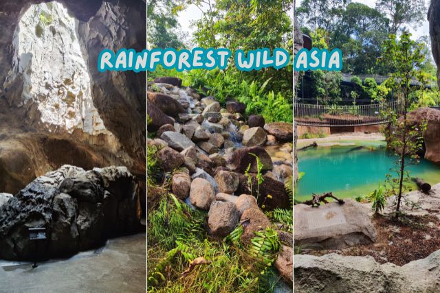 Singapore’s Fifth Wildlife Park, Rainforest Wild Asia to Open on 12 March 2025