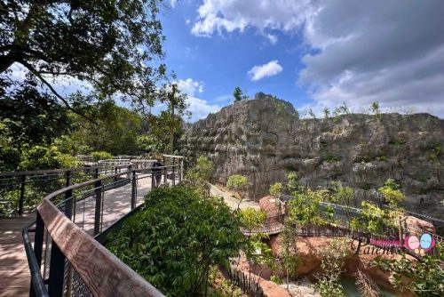 Rainforest Wild Asia Elevated Walkways