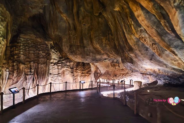 Rainforest Wild Asia The Cavern