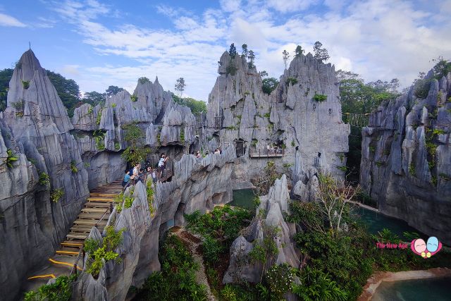 Rainforest Wild Asia The Karst