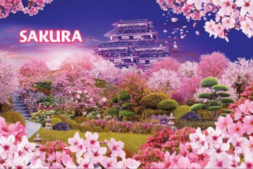 Sakura floral display 2025