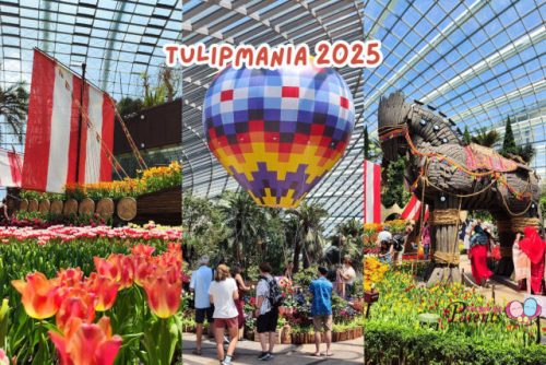 Tulipmania 2025 GBB