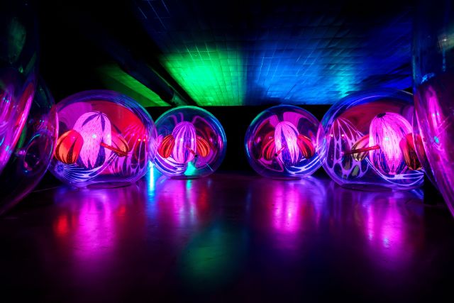 Balloon Museum Spiritus Sonata