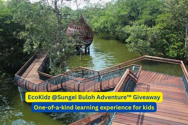 EcoKidz @Sungei Buloh Adventure™ Giveaway