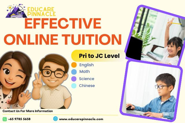 Educare Pinnacle Trial Class