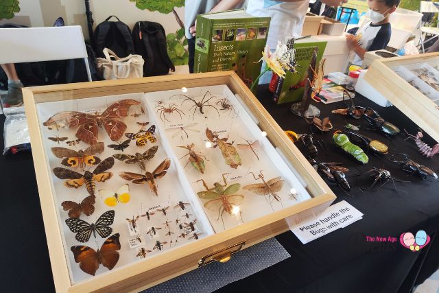 Festival of Biodiversity FoB exhibits