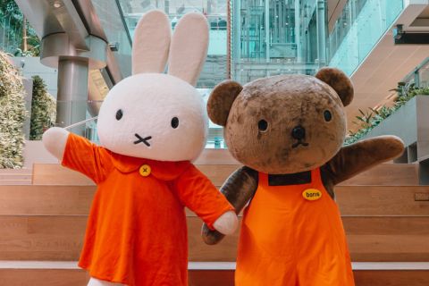 Meet and Greet sessions this June at Shopping Malls & Attractions 2025