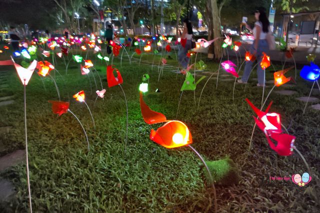 i light iLSG 2025 Take a walk through the meadow with me