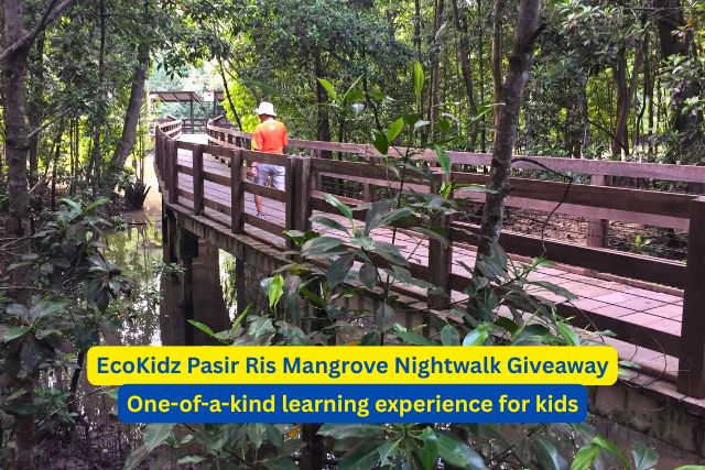 EcoKidz @Pasir Ris Mangrove Night Walk™ Giveaway