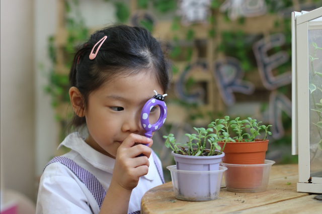 Mulberry Learning: Premier Infant Care & Preschool for a Future-Ready Child
