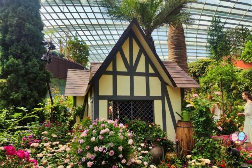 Rose Romance Tudor-style house