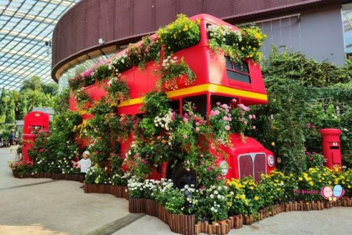 Rose Romance red double-decker bus