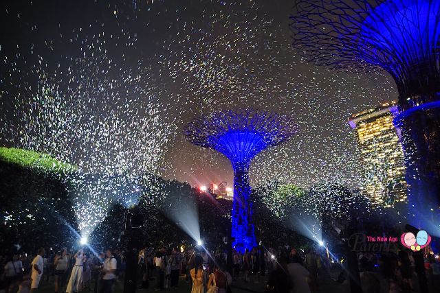 SPARK Supertree Grove Lawn