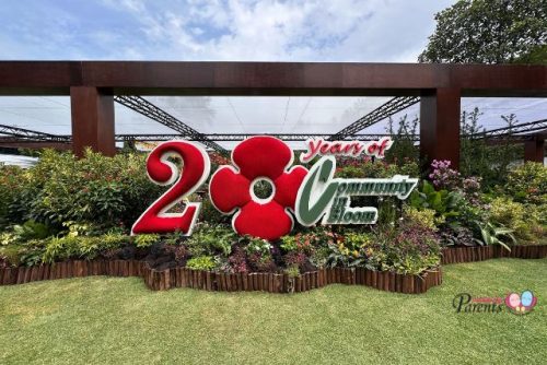 Hortfest 20 years of Community in Bloom