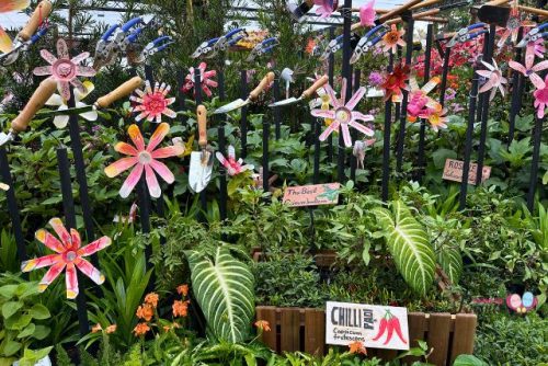 Hortfest Horticulture Display