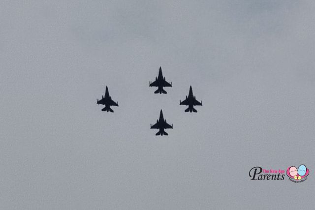 NDP Flaypast F16 diamond formation Heartlands