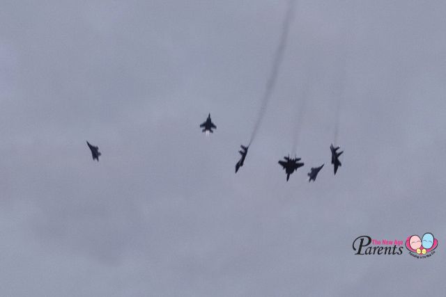 NDP Flypast F15 Multi Axis Flypast
