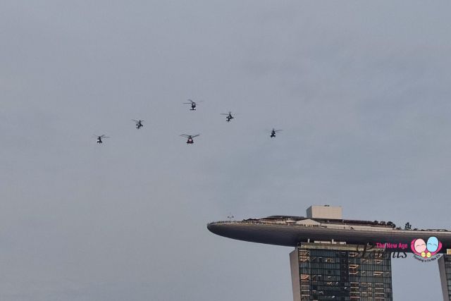NDP Helicopter Formation Flypast