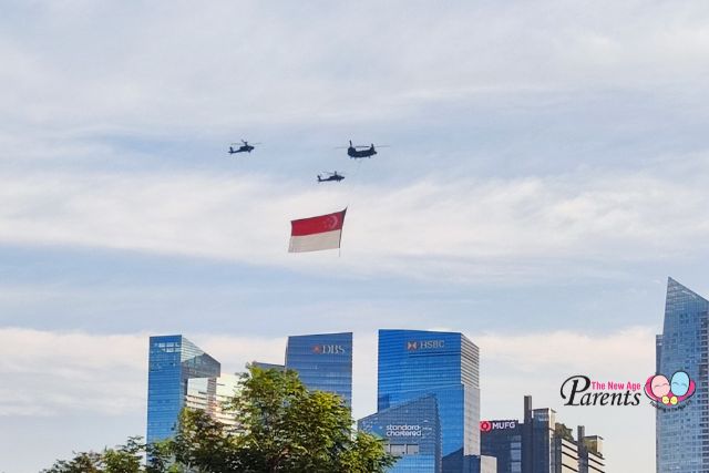 NDP State Flag Flypast