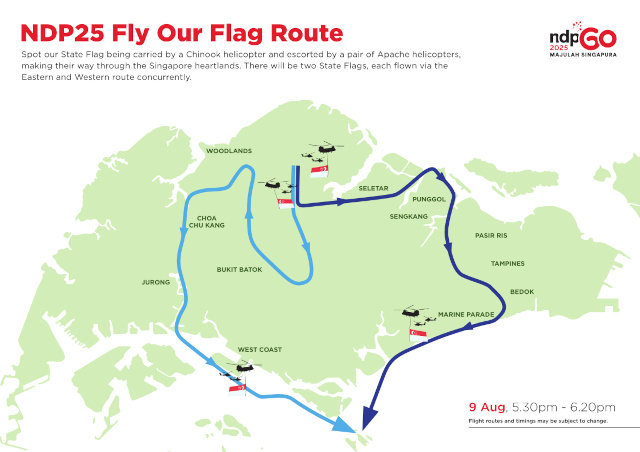 National Day NDP 2025 Flypast State Flag Heartlands