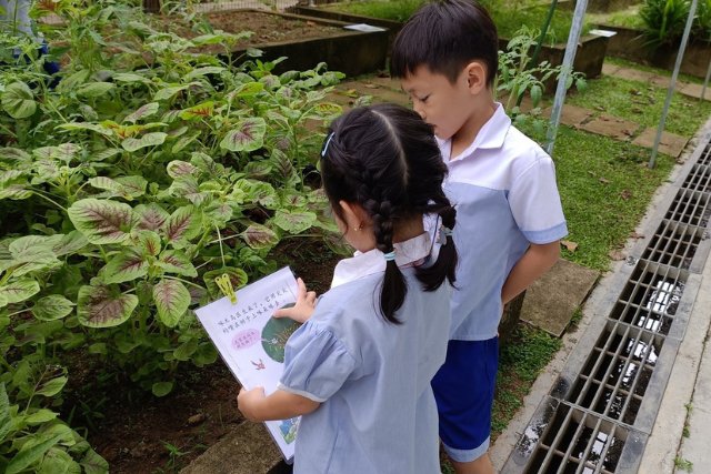 SHHK Preschool Bilingual