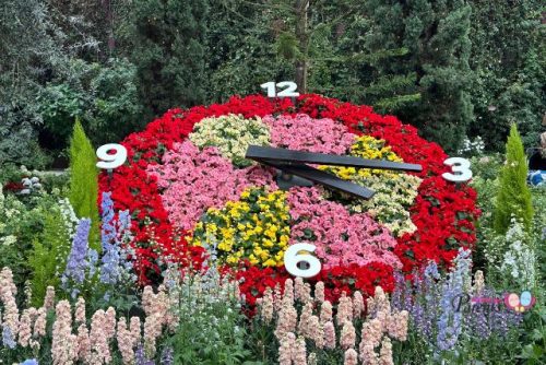 Alpine Adventures starring Begonias Flower Clock