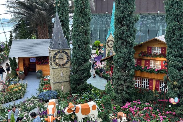 Alpine Adventures starring Begonias GBB