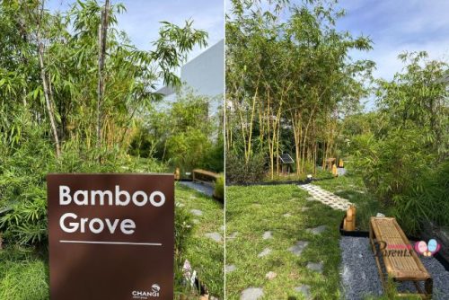 Bamboo Grove