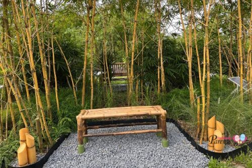 Bamboo Grove Changi Park Connector
