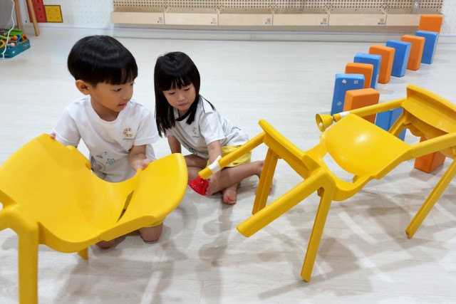 Cambridge Preschool Human Intelligence