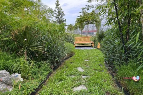 Changi Airport Bamboo Grove