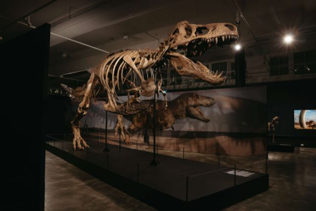 Science Centre Dinosaur Singapore