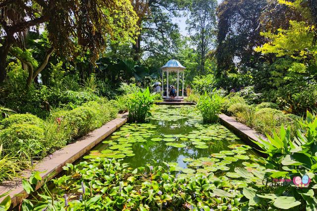 Istana Open House Garden
