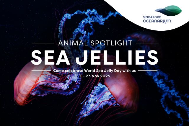 Singapore Oceanarium World Sea Jelly Day