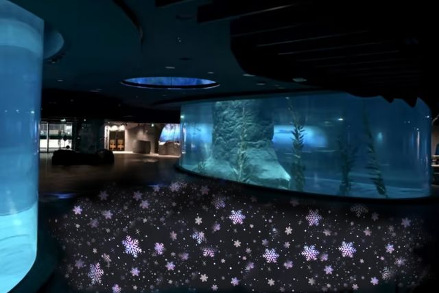 Snowflake projection at Bird Paradise