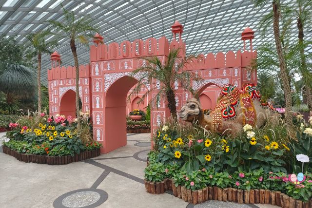 Sunflower Surprise Floral Display India