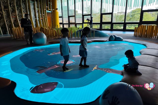 Curiosity Cove Grassland Zone