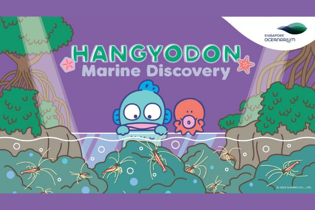 Hangyodon Marine Discovery