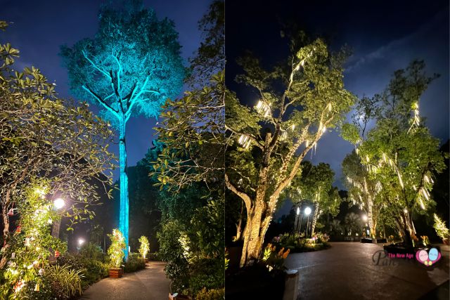 SBG Trees of the World